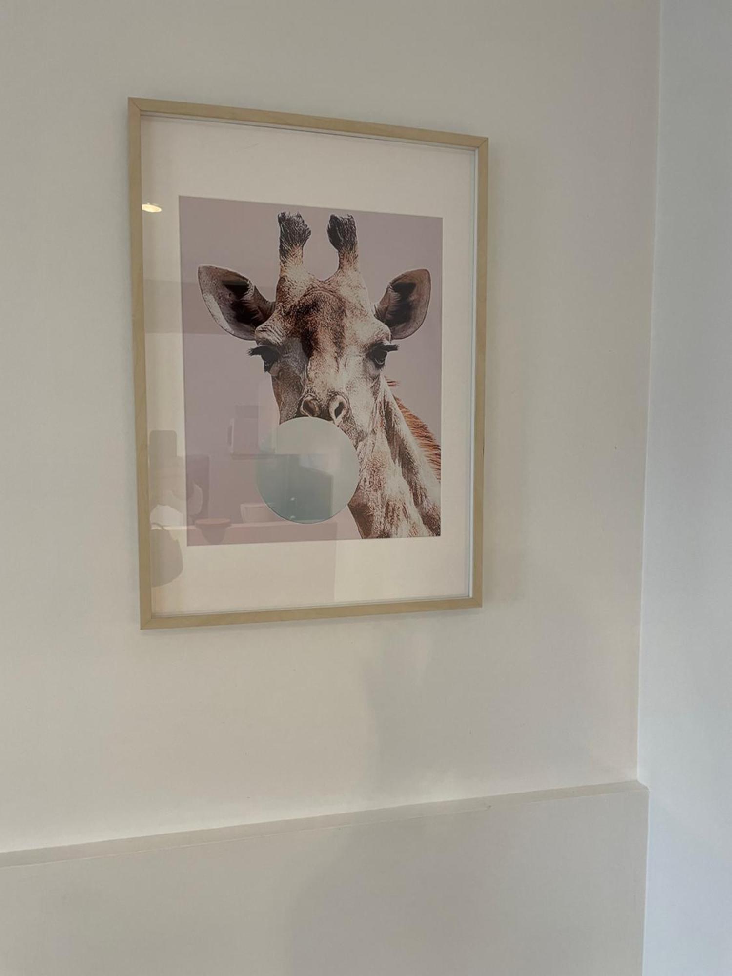 Apartmán Le Cocon De Beauval Châteauvieux Exteriér fotografie